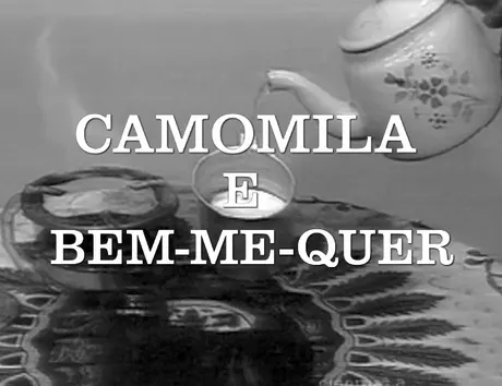 Camomila e Bem-me-quer