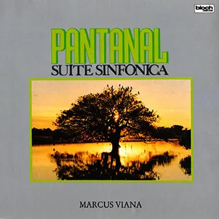 Capa da trilha de Pantanal